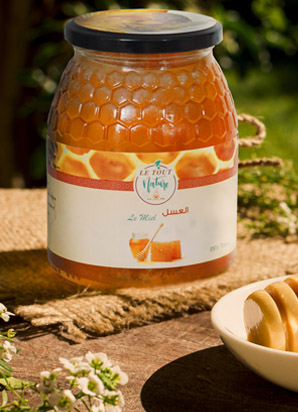 Tout Nature bannier 1