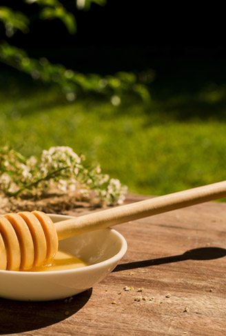 Tout Nature bannier 2